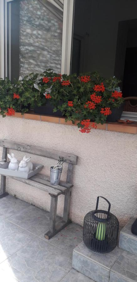 Cote Jardin Acomodação com café da manhã Périgueux Exterior foto